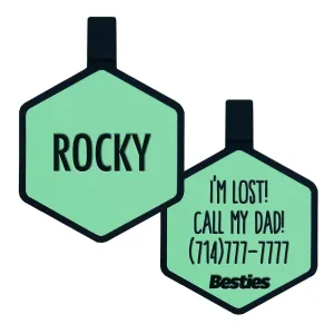Aqua Silicone ID Tag