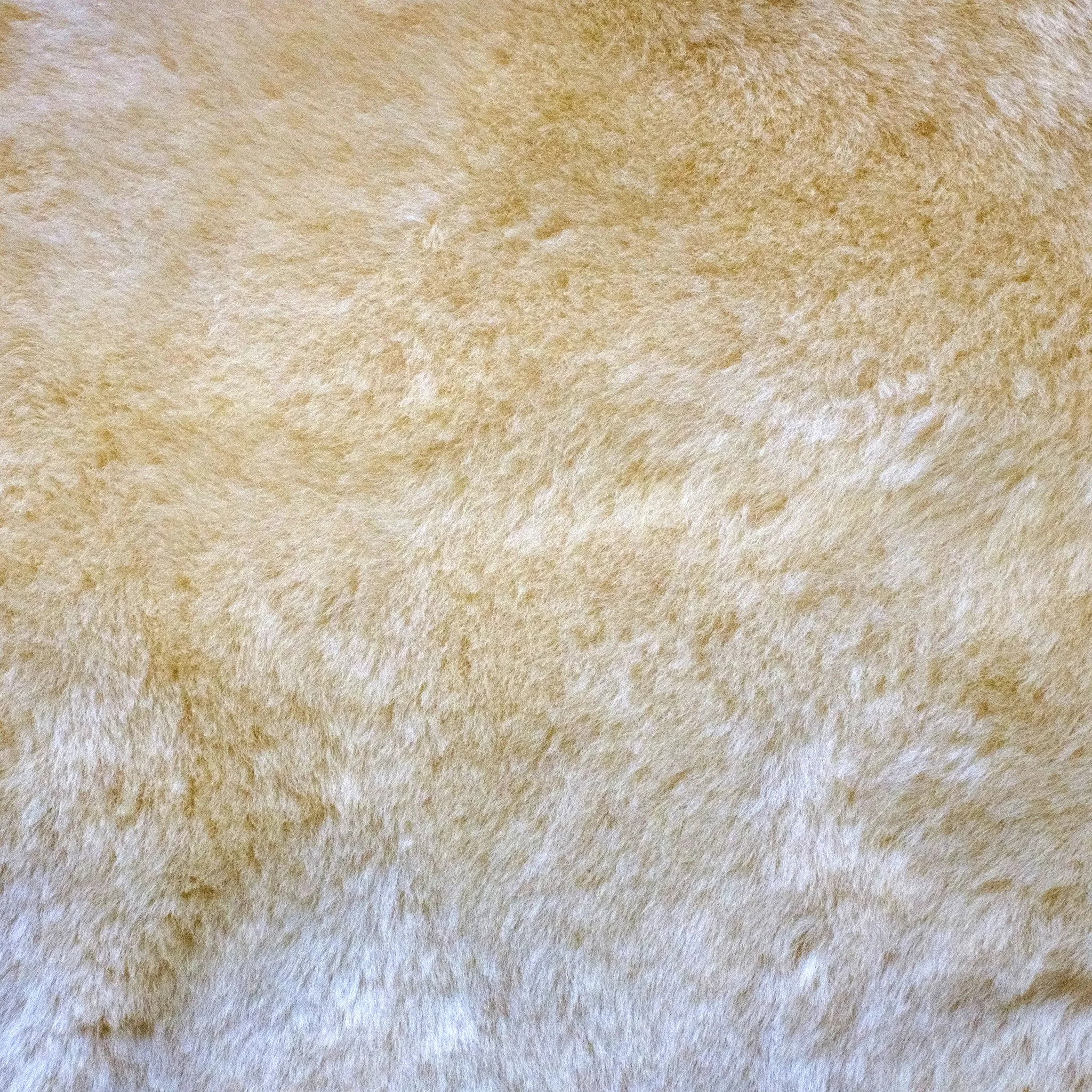 [Free Expedited Shipping] Infantcare Sheepskin Rug in Short Hair by Auskin