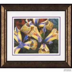 Murray Eisner "Iris #3"