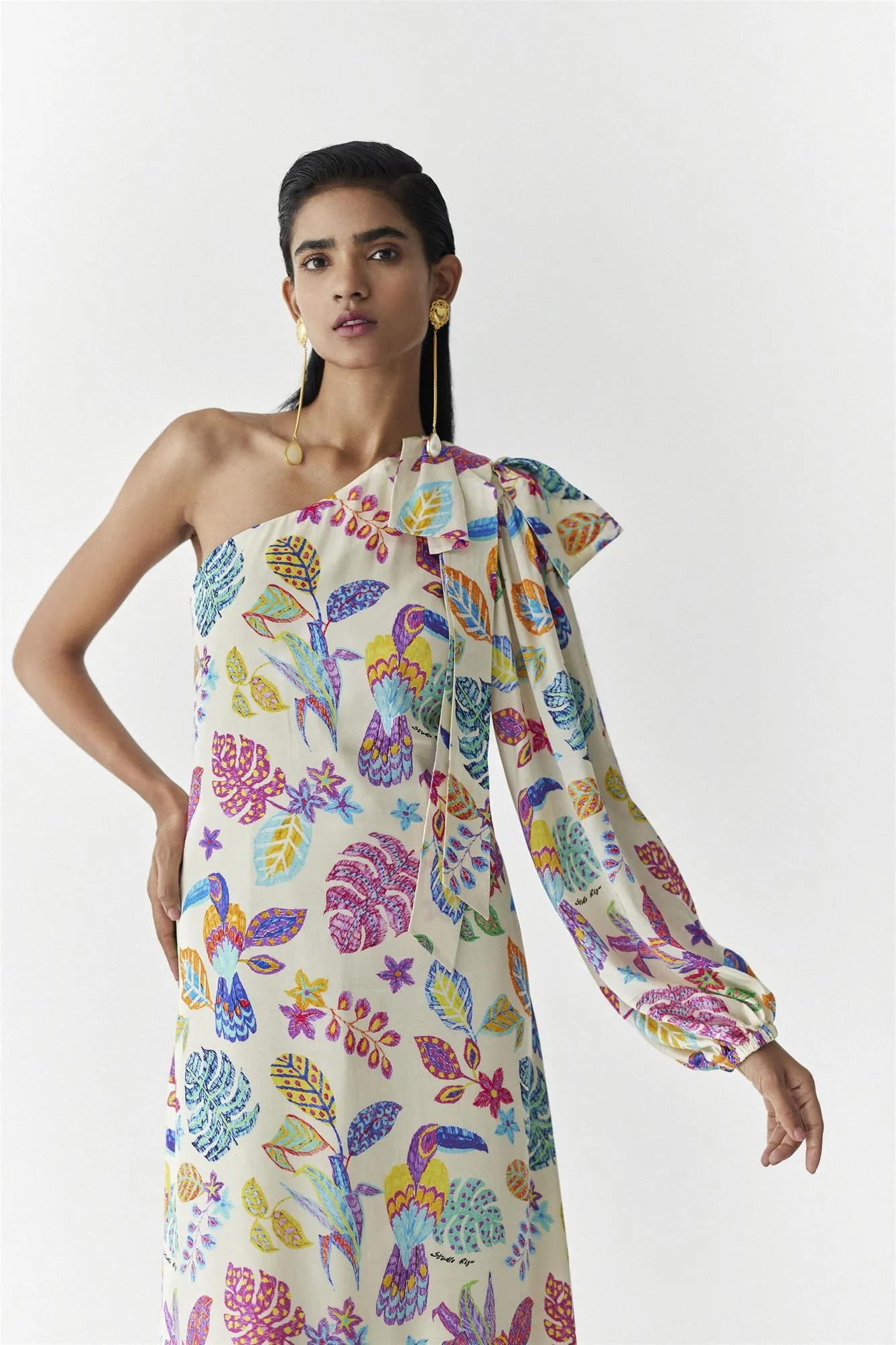 New Season Summer to Fall 2024-Dress Amazon One Shoulder Vegan Silk Beige Multi Color Bird Print-Studio Rigu-Fashion Edit Amazonico