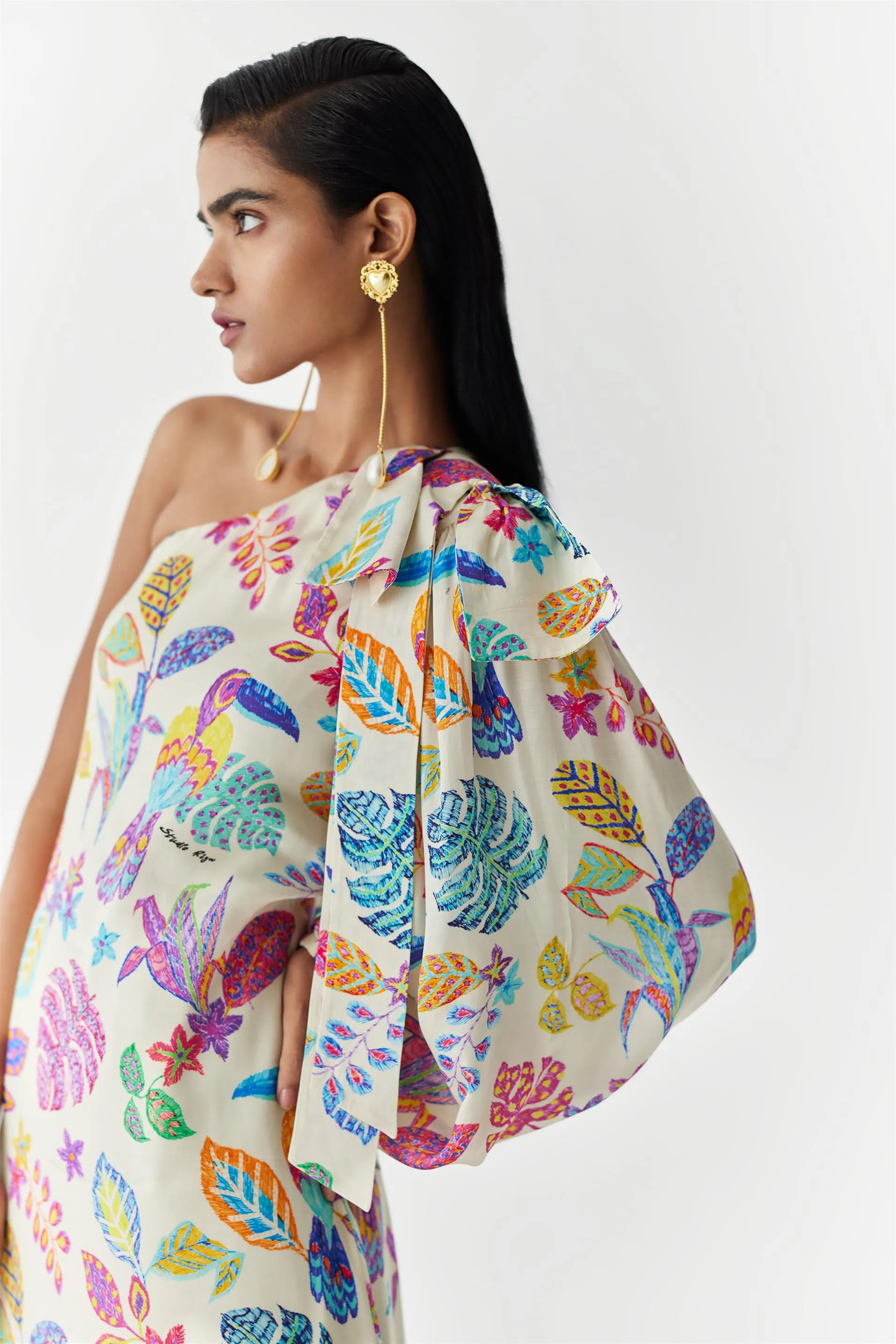 New Season Summer to Fall 2024-Dress Amazon One Shoulder Vegan Silk Beige Multi Color Bird Print-Studio Rigu-Fashion Edit Amazonico
