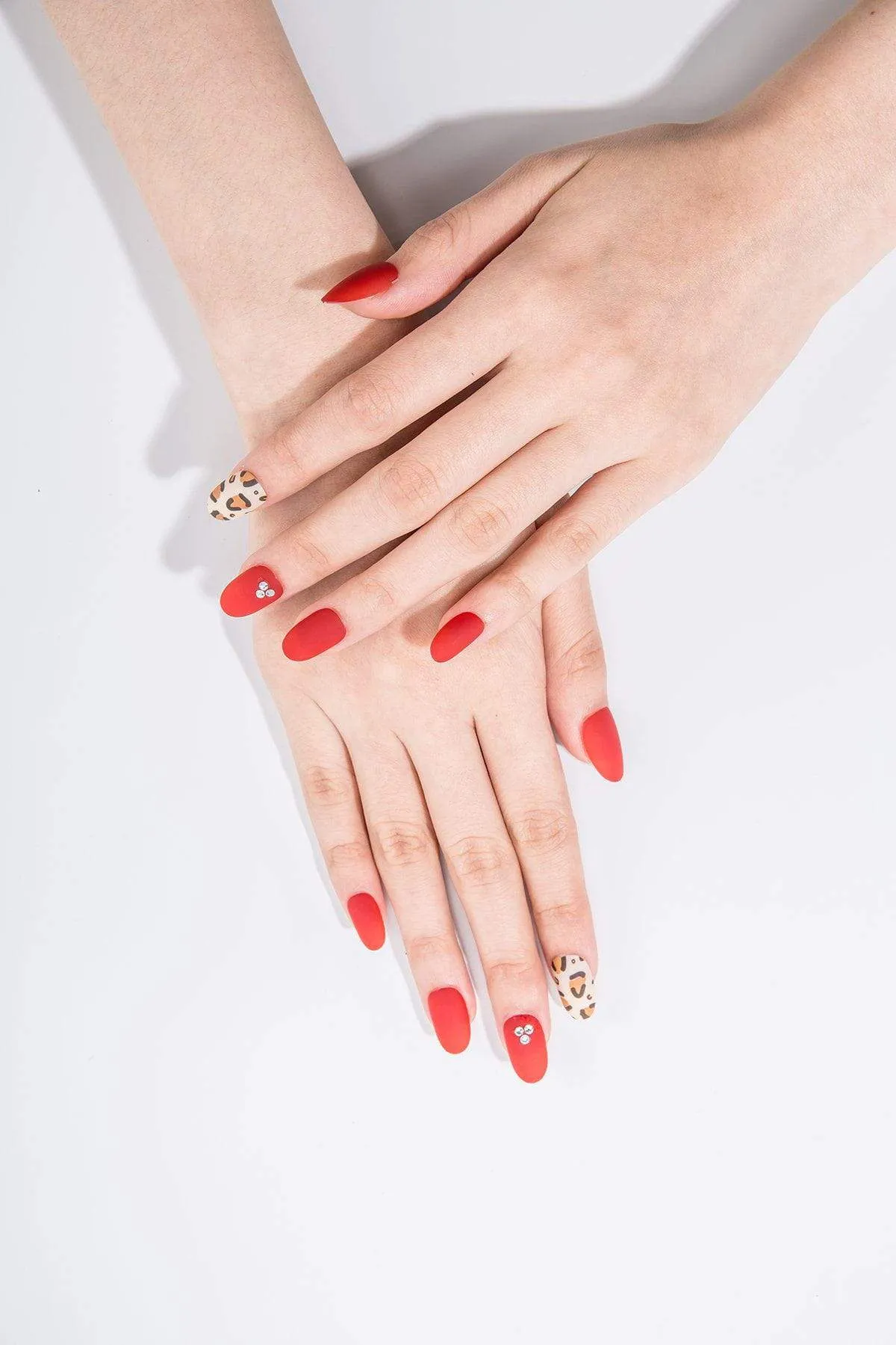Red Leopard（Reusable）