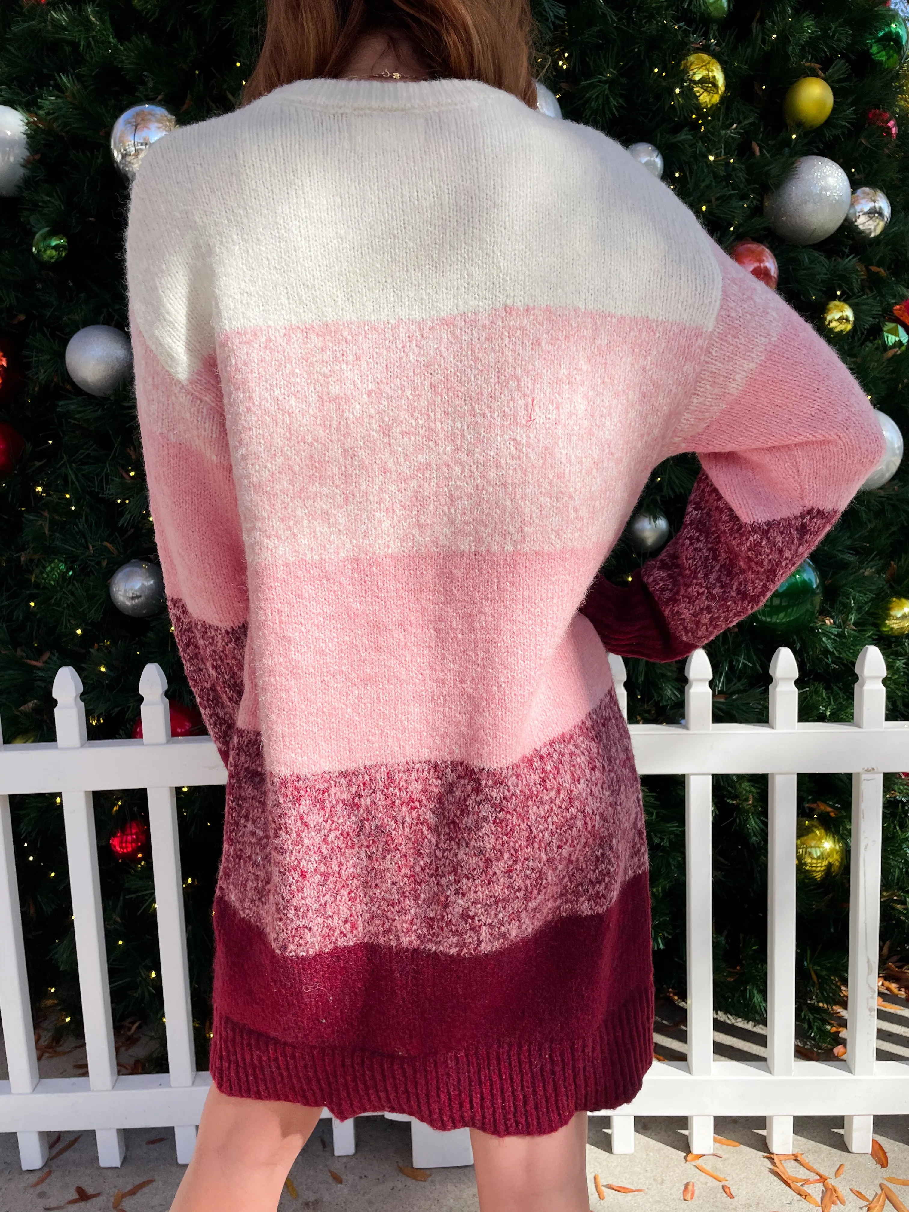 Sugar Plum Fairy Sweater Dress