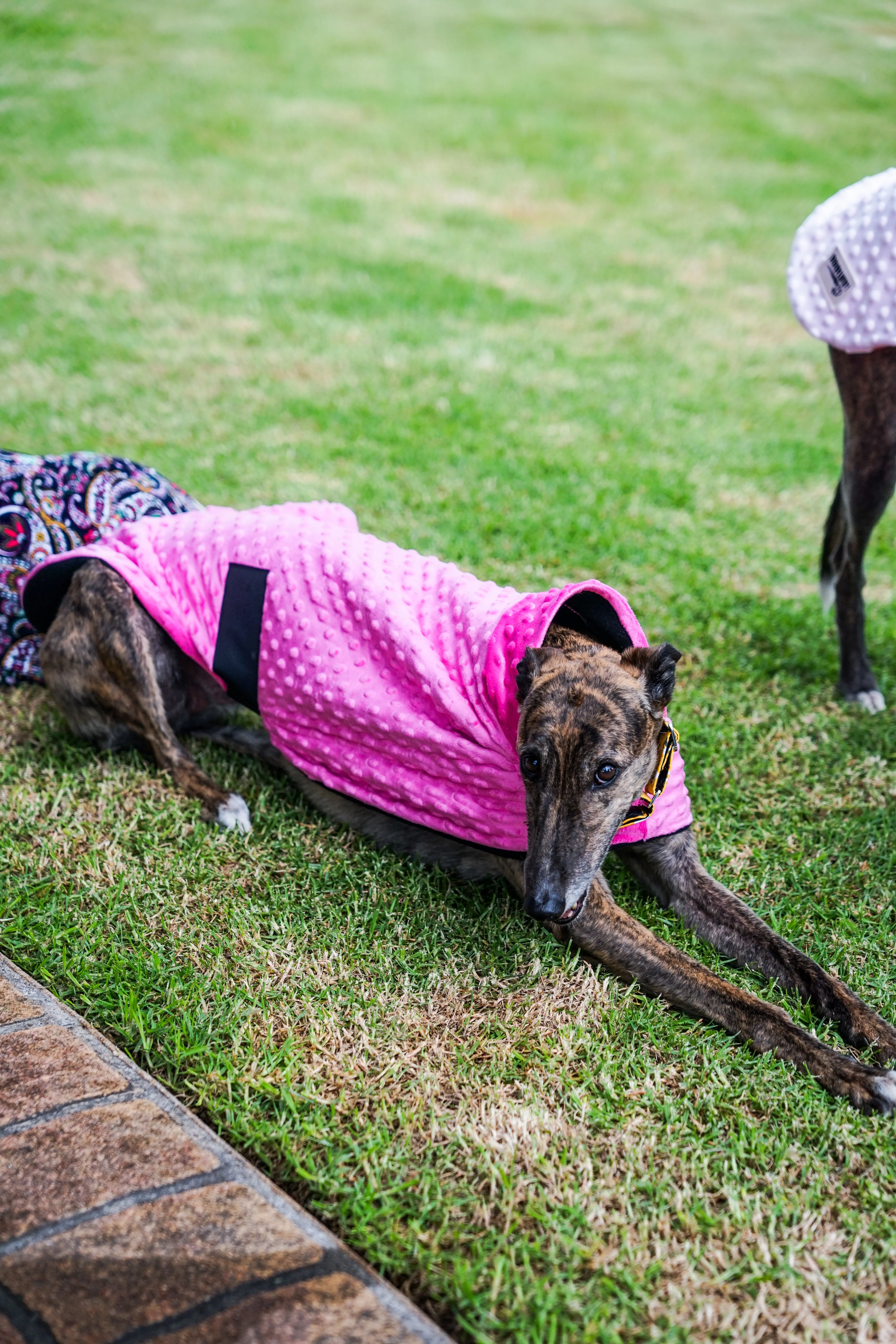 Velvet hot pink minky fleece sports