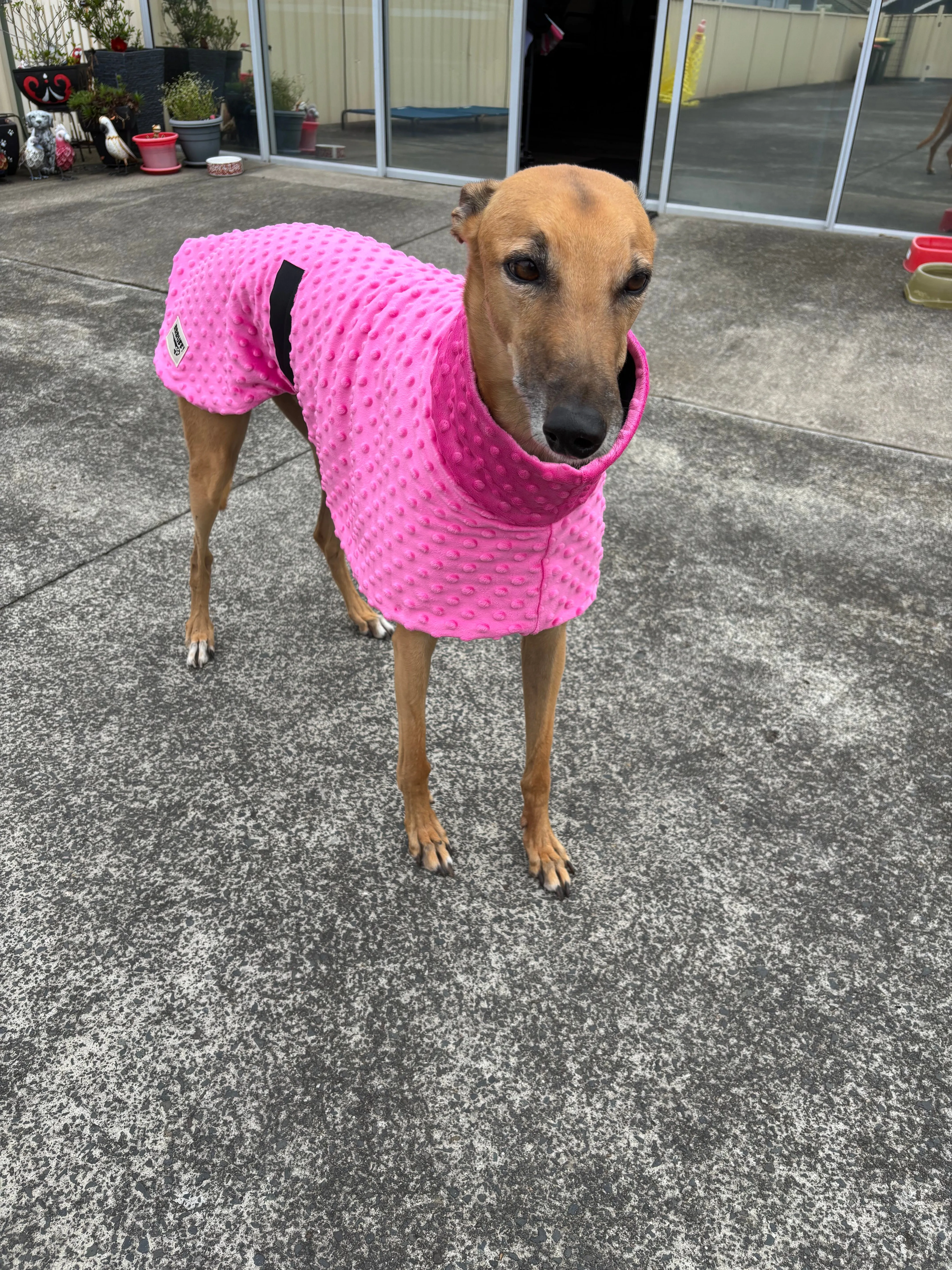Velvet hot pink minky fleece sports