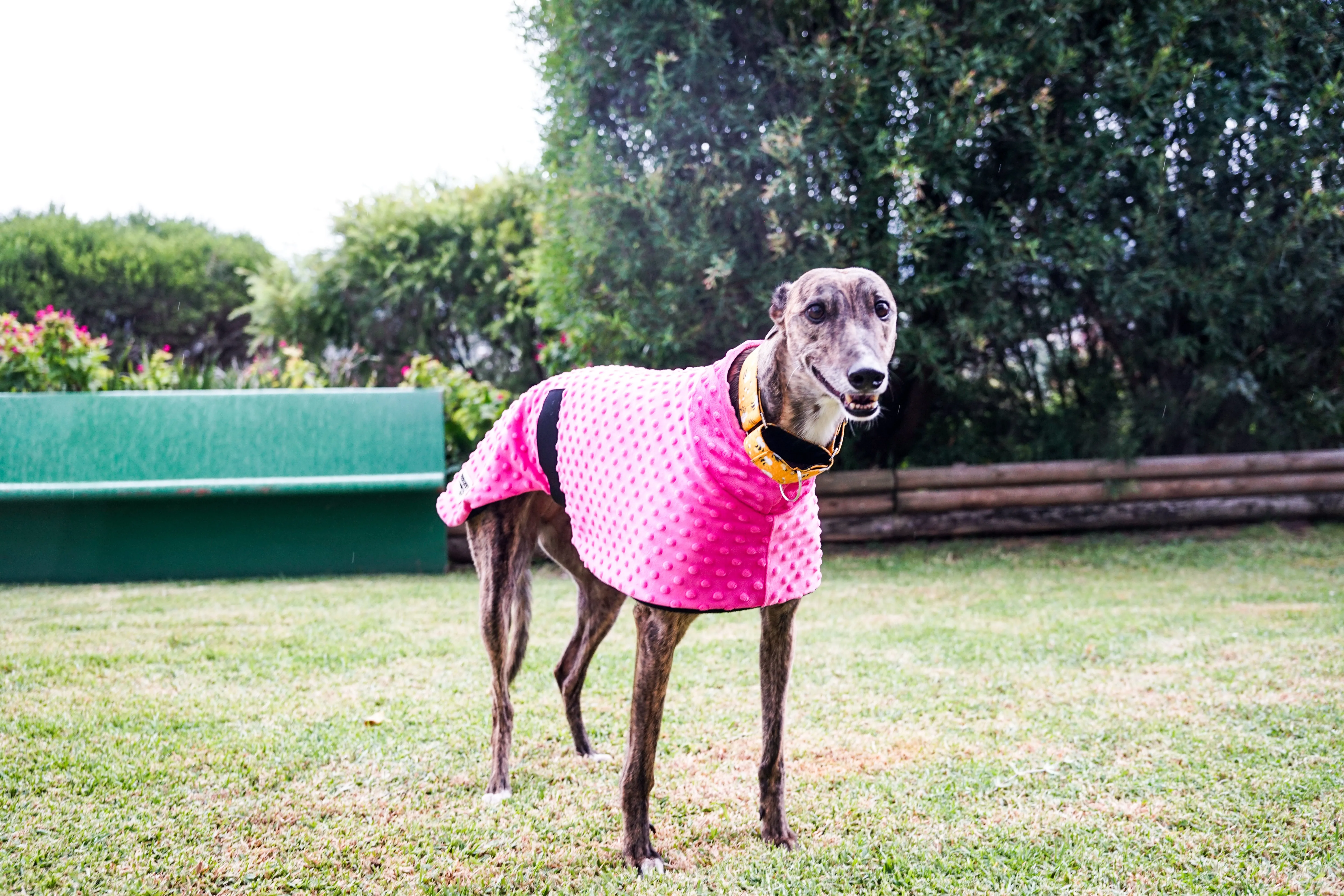 Velvet hot pink minky fleece sports