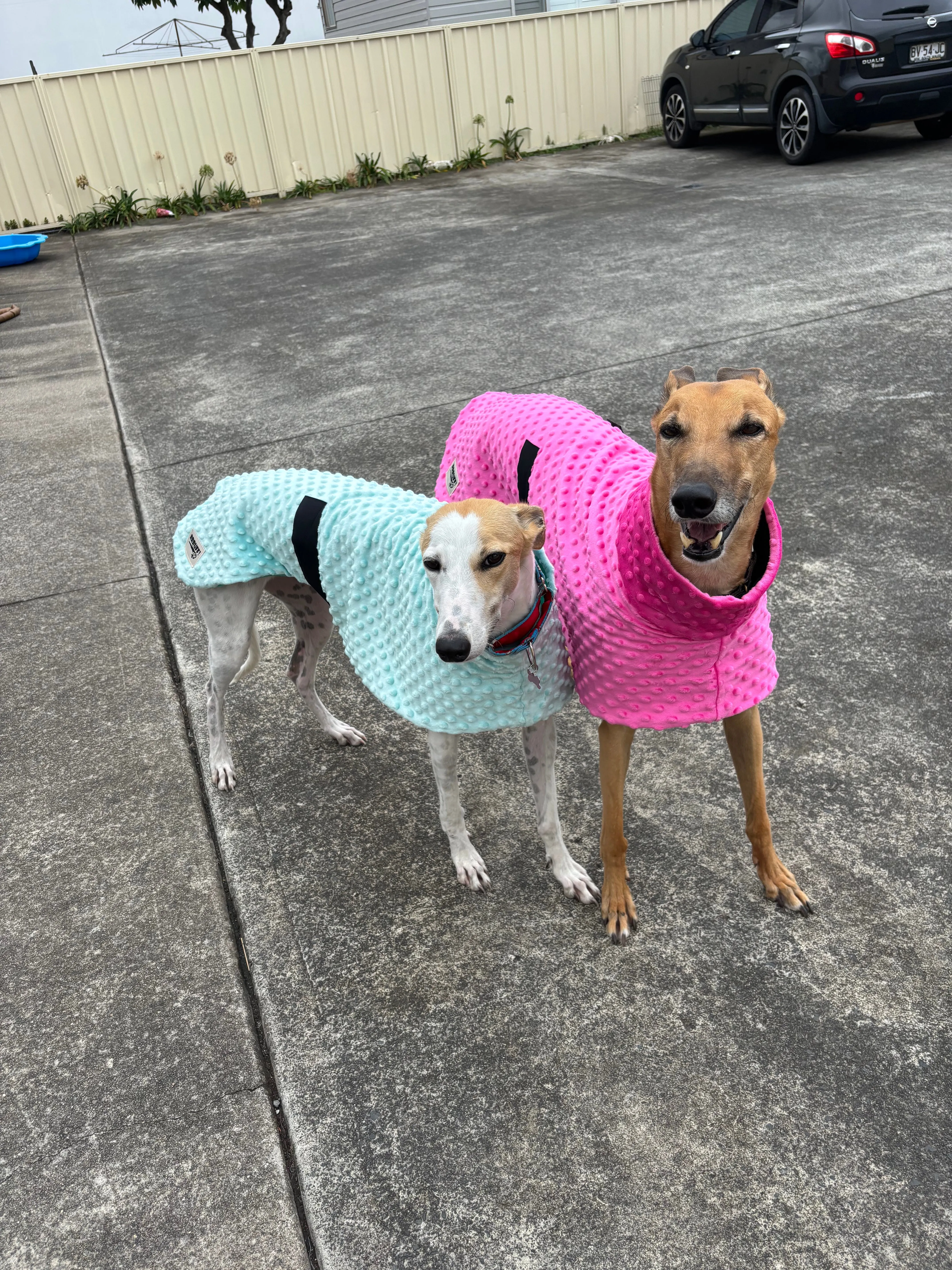 Velvet hot pink minky fleece sports