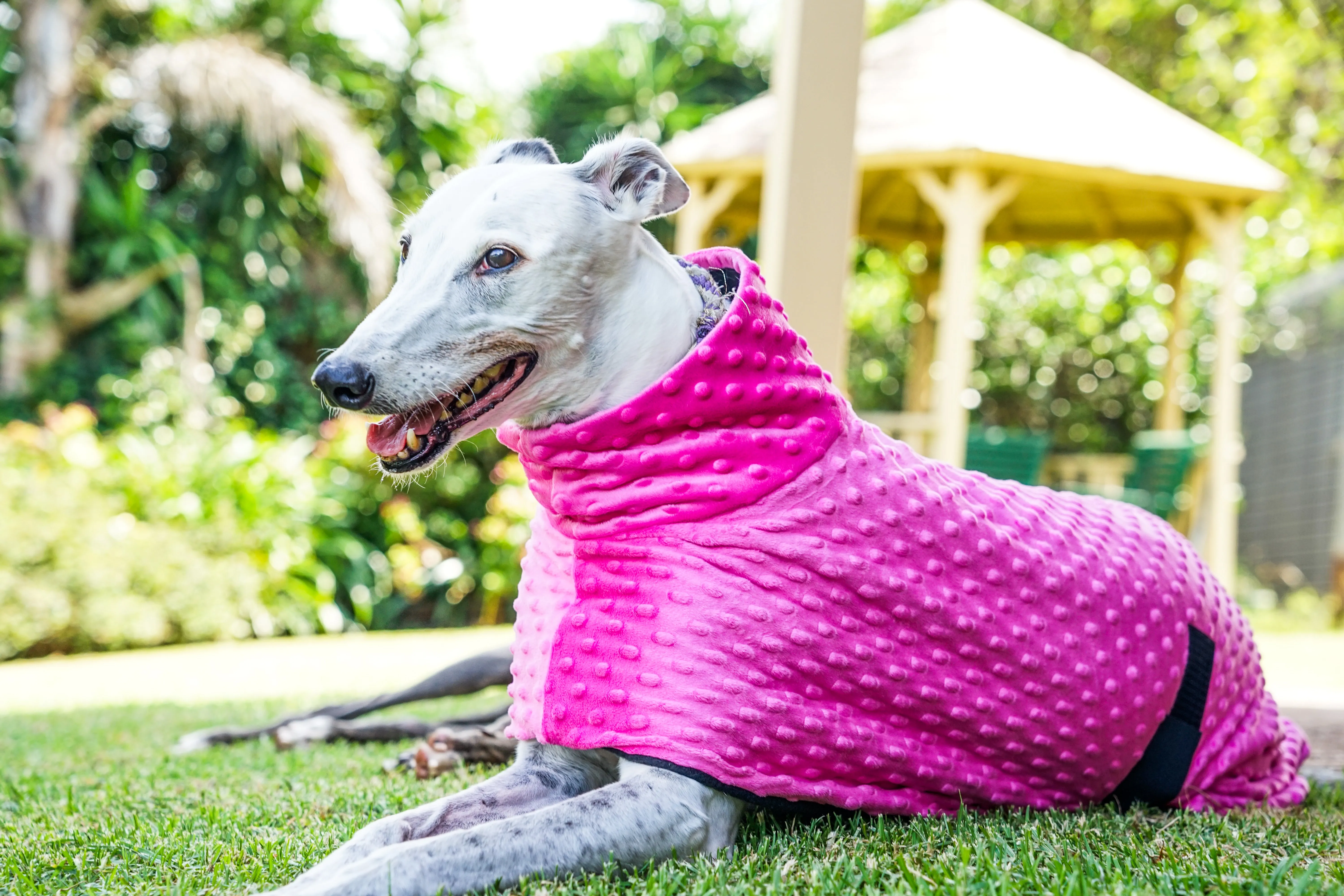 Velvet hot pink minky fleece sports