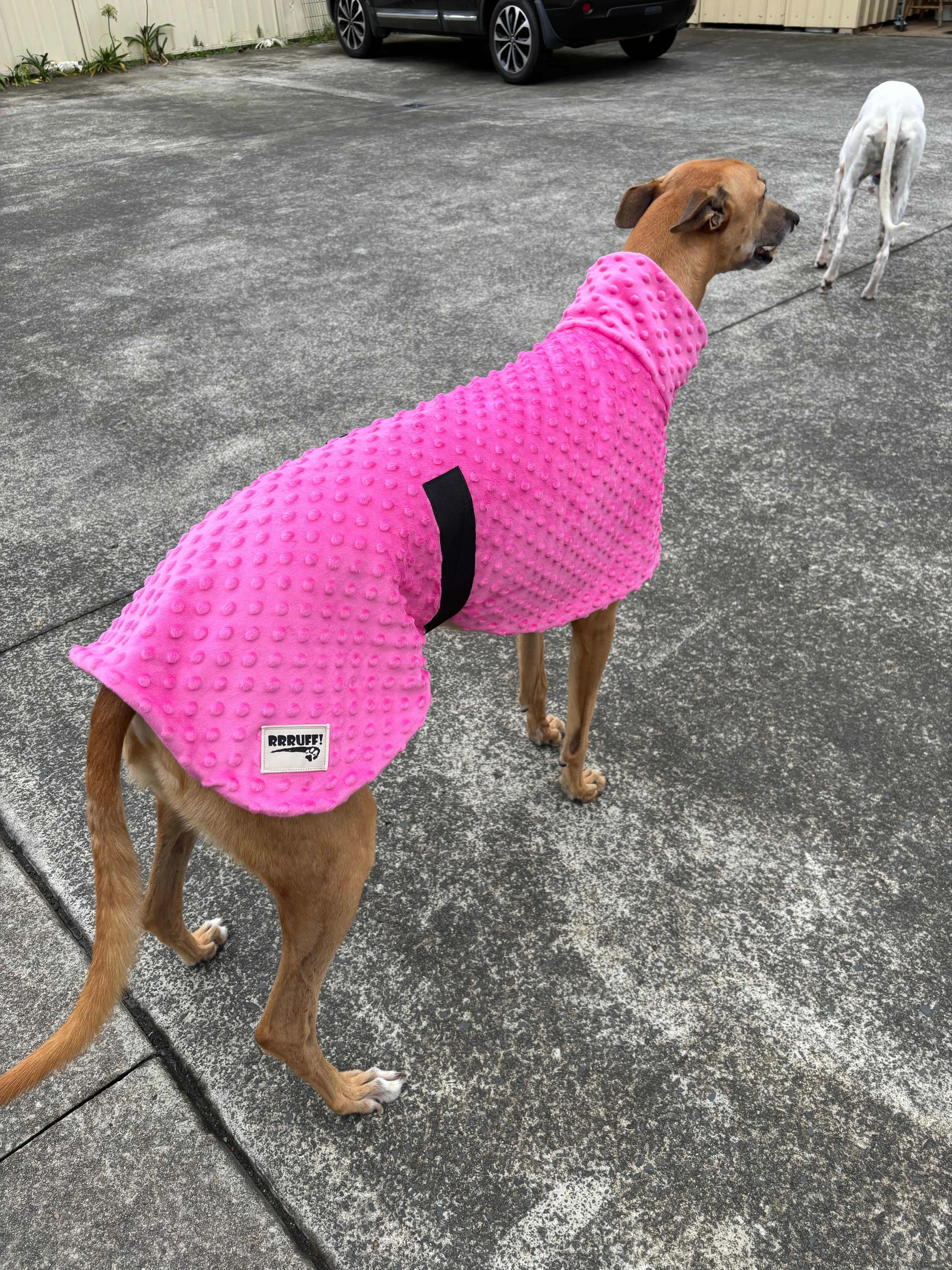 Velvet hot pink minky fleece sports