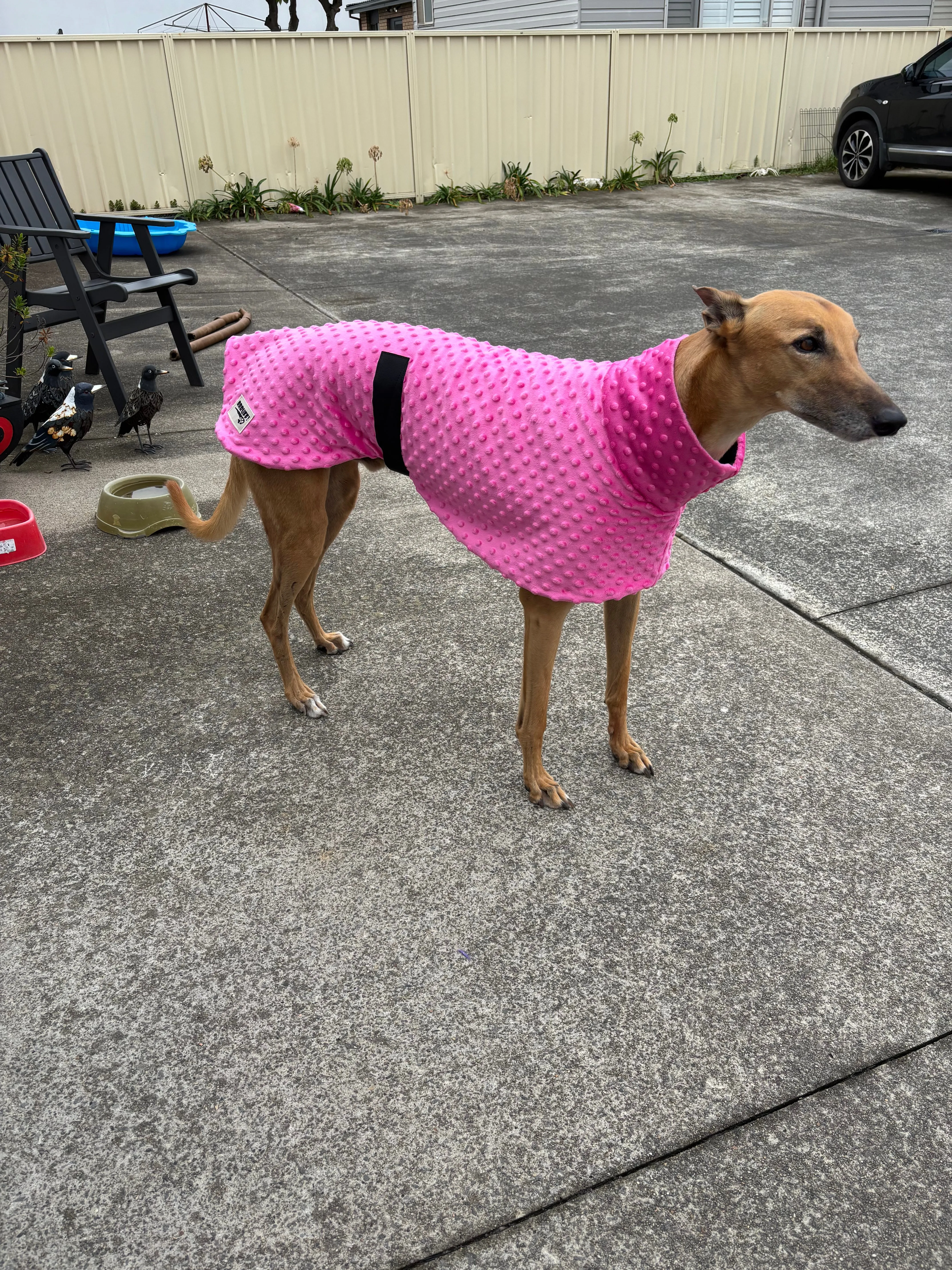 Velvet hot pink minky fleece sports